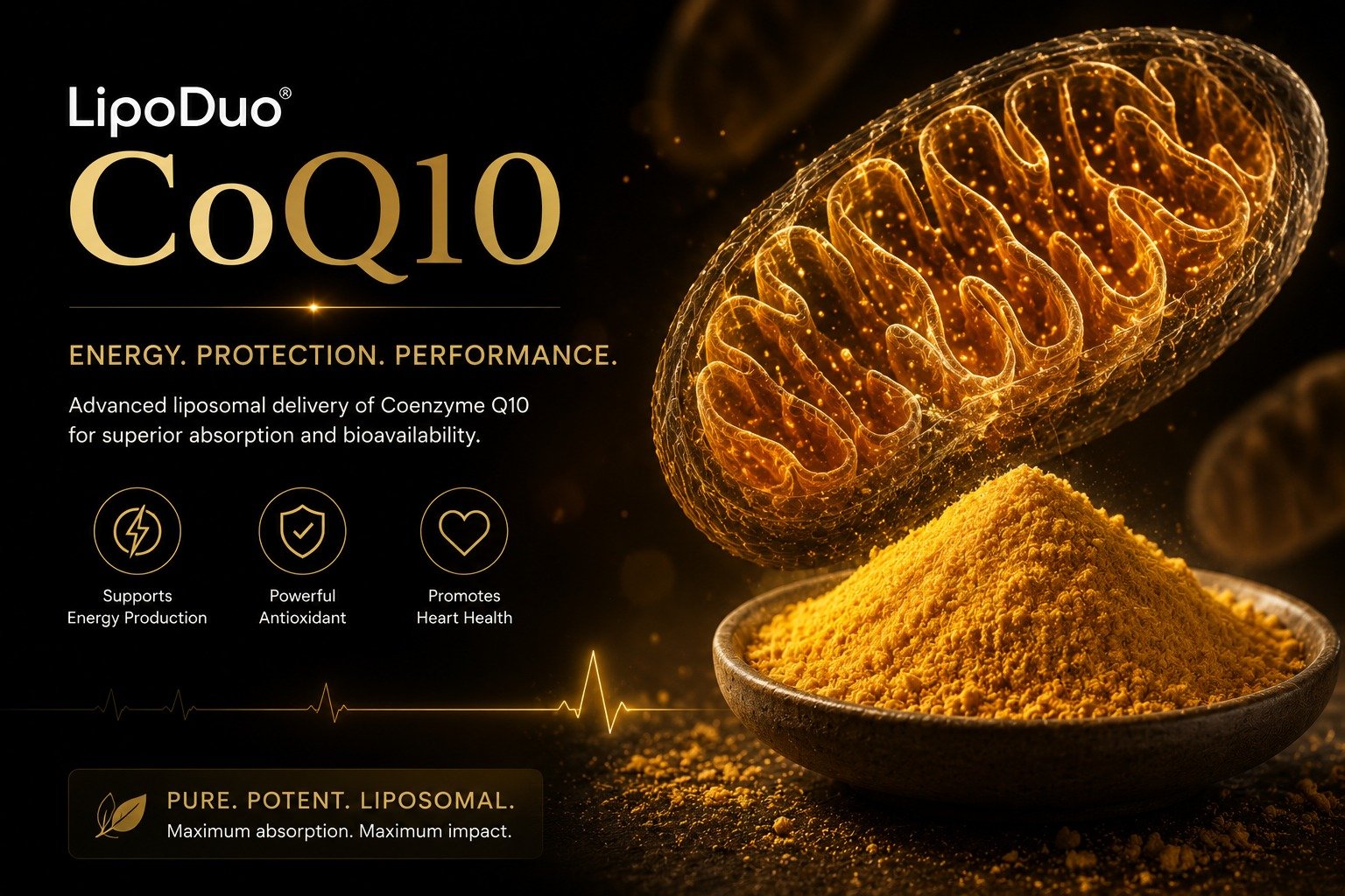 CoQ10 product artwork